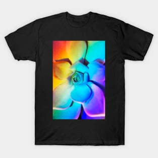 Rainbow echeveria T-Shirt